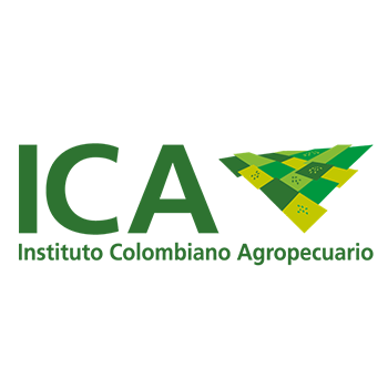 Logo 4